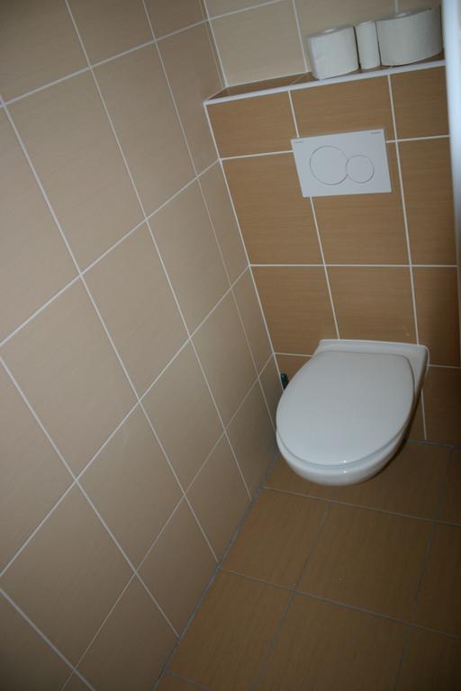 ホテル Penzion U Blatce Nové Hrady エクステリア 写真